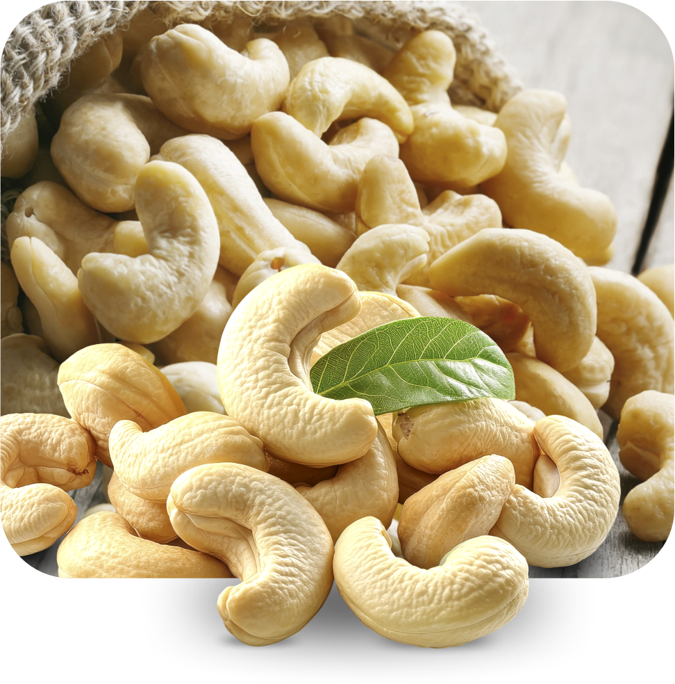 Cashew